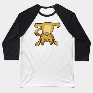 Cat In Different Yoga Poses Baseball T-Shirt